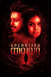 Operation Laila - Poster