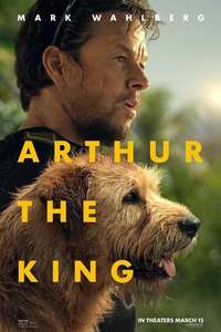 Arthur the King - Posters