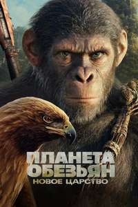 Kingdom of the Planet of the Apes - Posters