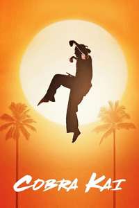 Cobra Kai - Posters