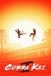 Cobra Kai Season 1