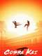 Cobra Kai : Season 1