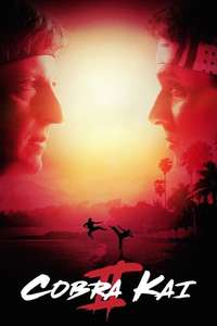 Cobra Kai - Posters