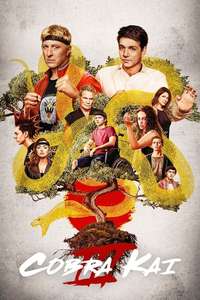 Cobra Kai - Posters