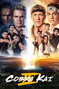 Cobra Kai - Posters