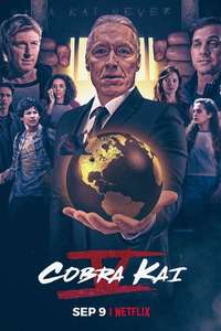 Cobra Kai - Posters