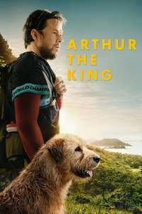 Arthur the King - Posters