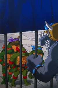 Teenage Mutant Ninja Turtles - Posters