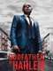 Godfather of Harlem : Season 1