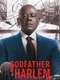 Godfather of Harlem : Season 2