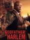 Godfather of Harlem : Season 3