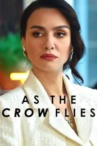 As the Crow Flies (2022) - Posters