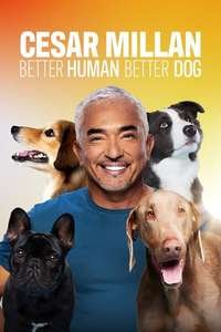 Cesar Millan: Better Human Better Dog - Posters