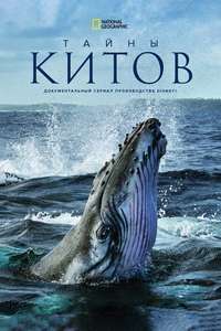 Secrets of the Whales - Posters