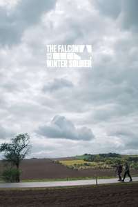 The Falcon and the Winter Soldier - Posters