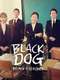 Black Dog