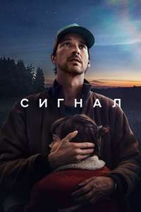 The Signal - Posters