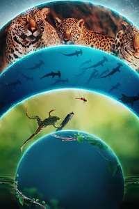 Our Living World - Posters