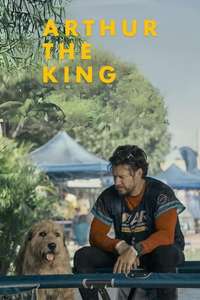 Arthur the King - Posters