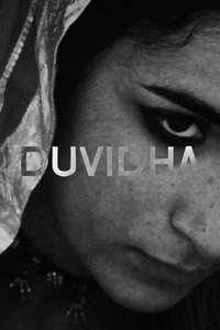 Duvidha - Posters