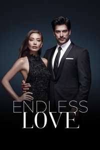 Endless Love - Posters