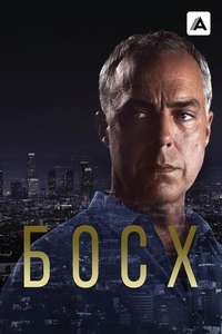 Bosch - Posters