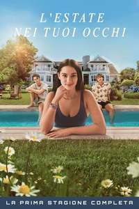 The Summer I Turned Pretty - Posters