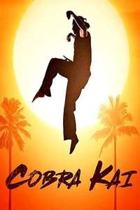 Cobra Kai - Posters