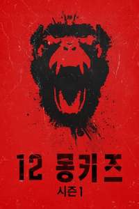 12 Monkeys - Posters