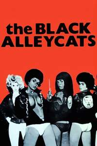 The Black Alley Cats - Posters