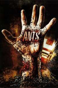 Ants - Poster