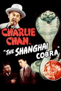 Charlie Chan in The Shanghai Cobra - Poster
