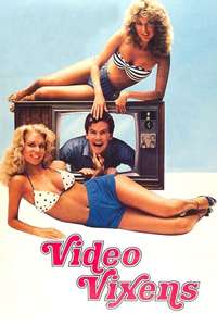 Video Vixens - Posters