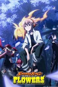 SHAMAN KING FLOWERS - Posters