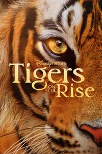 Tigers on the Rise - Posters