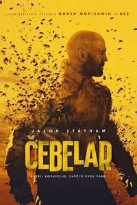 The Beekeeper - Posters