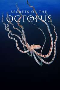 Secrets of the Octopus - Posters
