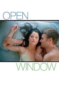 Open Window - Poster