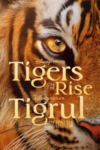 Tigers on the Rise - Posters