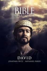 David - Posters