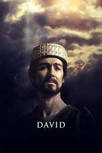David - Posters