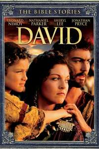 David - Posters