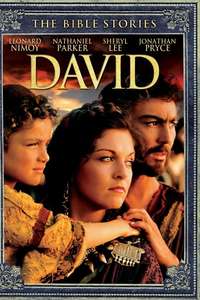 David - Posters