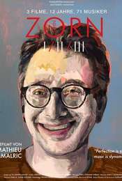 Zorn 2010-2017