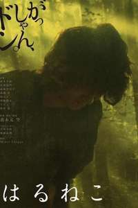 Haruneko - Poster