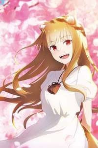 Spice and Wolf: Merchant Meets the Wise Wolf - Posters