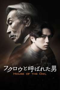 House of the Owl - Posters