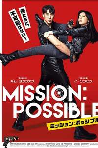 Mission: Possible - Poster