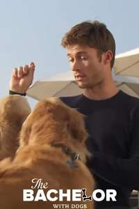 The Bachelor with Dogs and Scott Eastwood - Poster