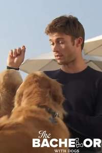 The Bachelor with Dogs and Scott Eastwood - Poster